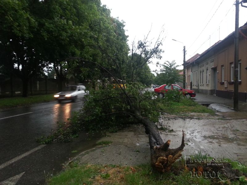 furtuna lugoj 30 iunie 2014 vant ploi copaci smulsi acoperis smuls bloc cotu mic caramizi picate masini video foto lugojeanul 2014 (11)