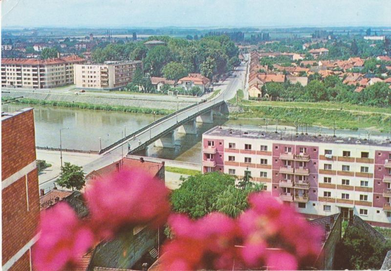 lugoj imagini vechi oras timis municipiu anii 80 90 70 primarie prefectura comunism piete ana lugojana strand podul de fier centru (13)