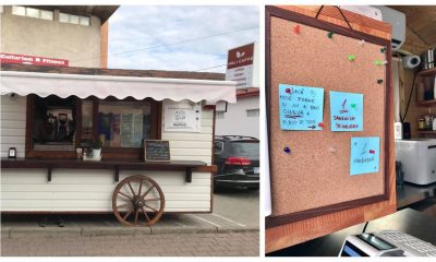 salad Emulate impose La Lugoj s-a deschis o cafenea dedicată lecturii. Clienții pot servi cafea  pe nisip, baclavale și răsfoi cărți de toate felurile – Lugojeanul.ro