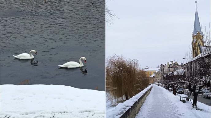foto: Facebook/Esti din Lugoj dacă...
