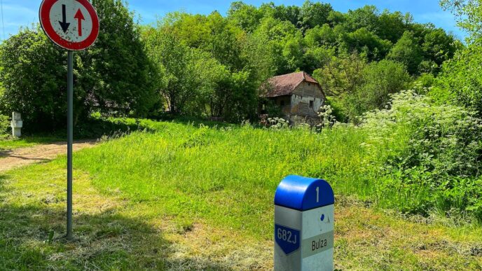 sursa foto: Lugojeanul